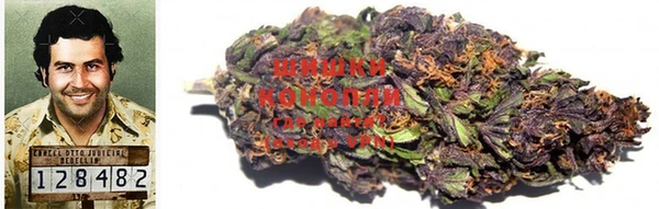 прущие крисы Богданович