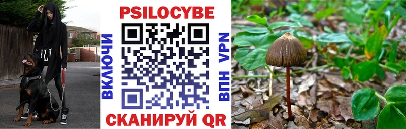 Галлюциногенные грибы Psilocybine cubensis  Саки 