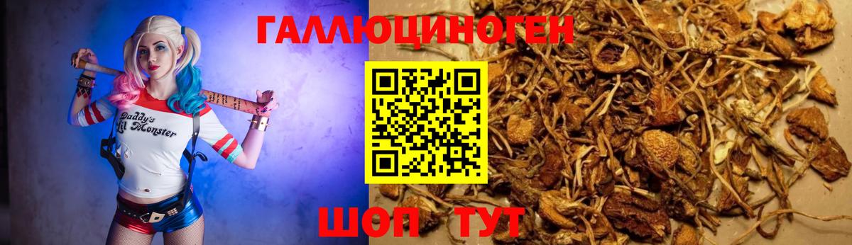 Саки  купить  сайты  Псилоцибиновые грибы MAGIC MUSHROOMS  Вход с VPN  Псилоцибиновые грибы мухоморы 